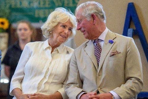 英国查尔斯爆料视频大全,揭秘王室不为人知的秘密 第3张 英国查尔斯爆料视频大全,揭秘王室不为人知的秘密 第3张