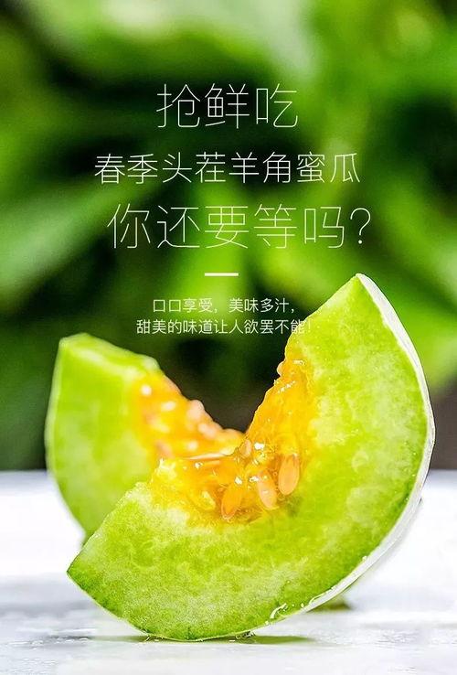 网红瓜去哪吃最好,揭秘瓜界美食天堂 第3张 网红瓜去哪吃最好,揭秘瓜界美食天堂 第3张